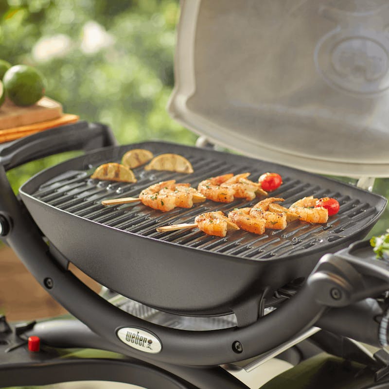 Cooking Grates  image number 1